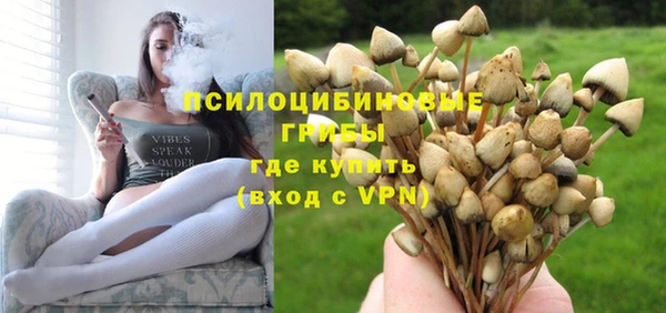 mdpv Богородск