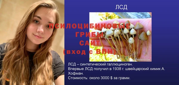 гидра Беломорск