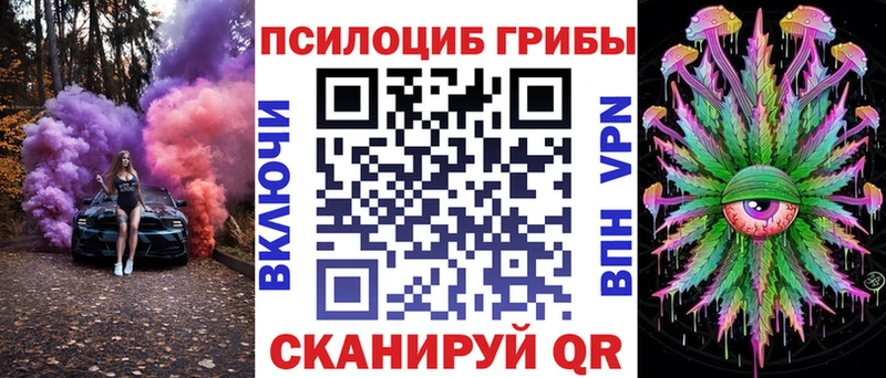 Псилоцибиновые грибы Psilocybine cubensis  Черкесск 